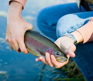 Fishing

