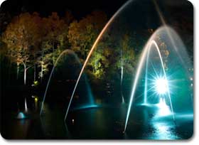 Enchanted Forest