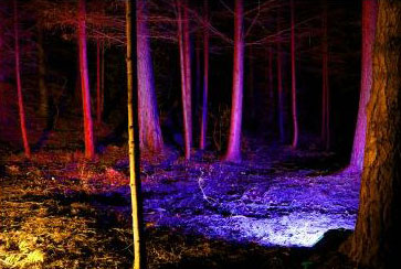 The Enchanted Forest, Pitlochry 2012