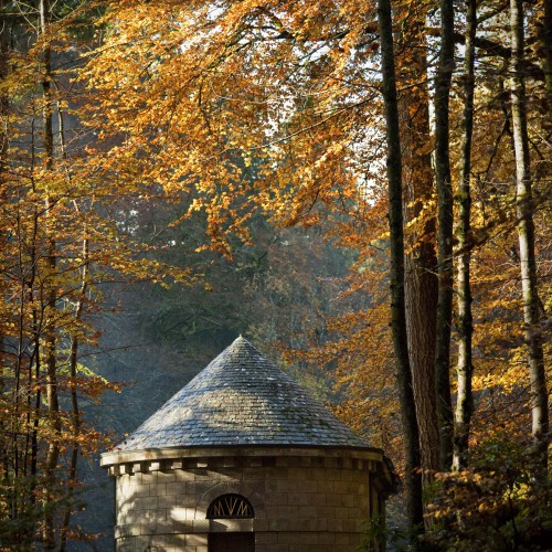 Hut in forest.