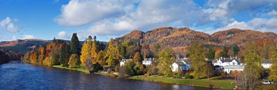 Big Tree country Kacper Cwik
