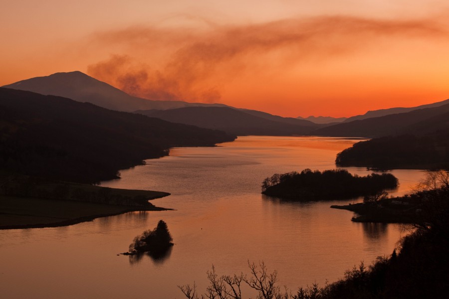 Big Tree country Kacper Cwik