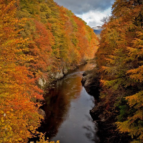 River between trees and rocks.
