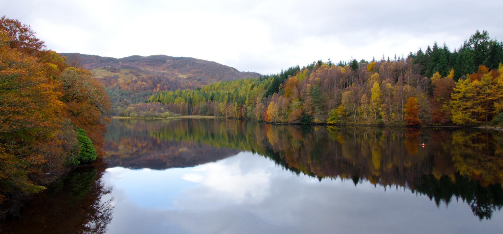 1 Killiecrankie Lake surrounded by trees