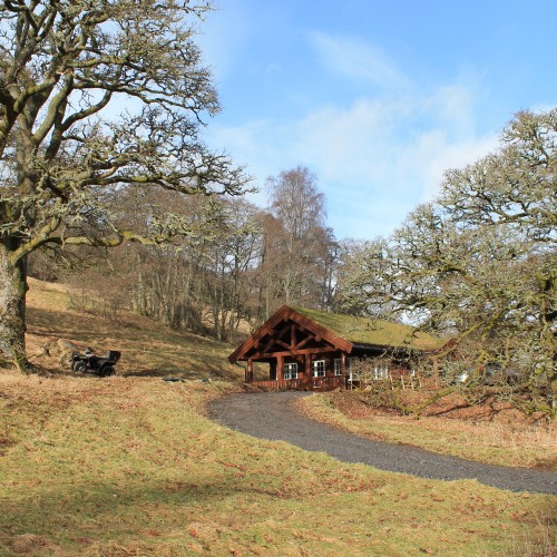 Kirk Park Cabin Outside of wooden house in the woods with driveway