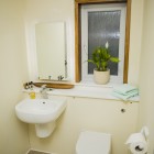 Bathroom with toilet and sink and a small window and potted plant above toilet.