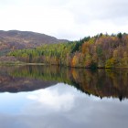 Lake surrounded by trees