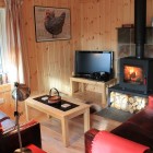 Wooden living room with fireplace, sofas and TV