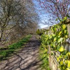 Ferry Crescent Tummel Bank